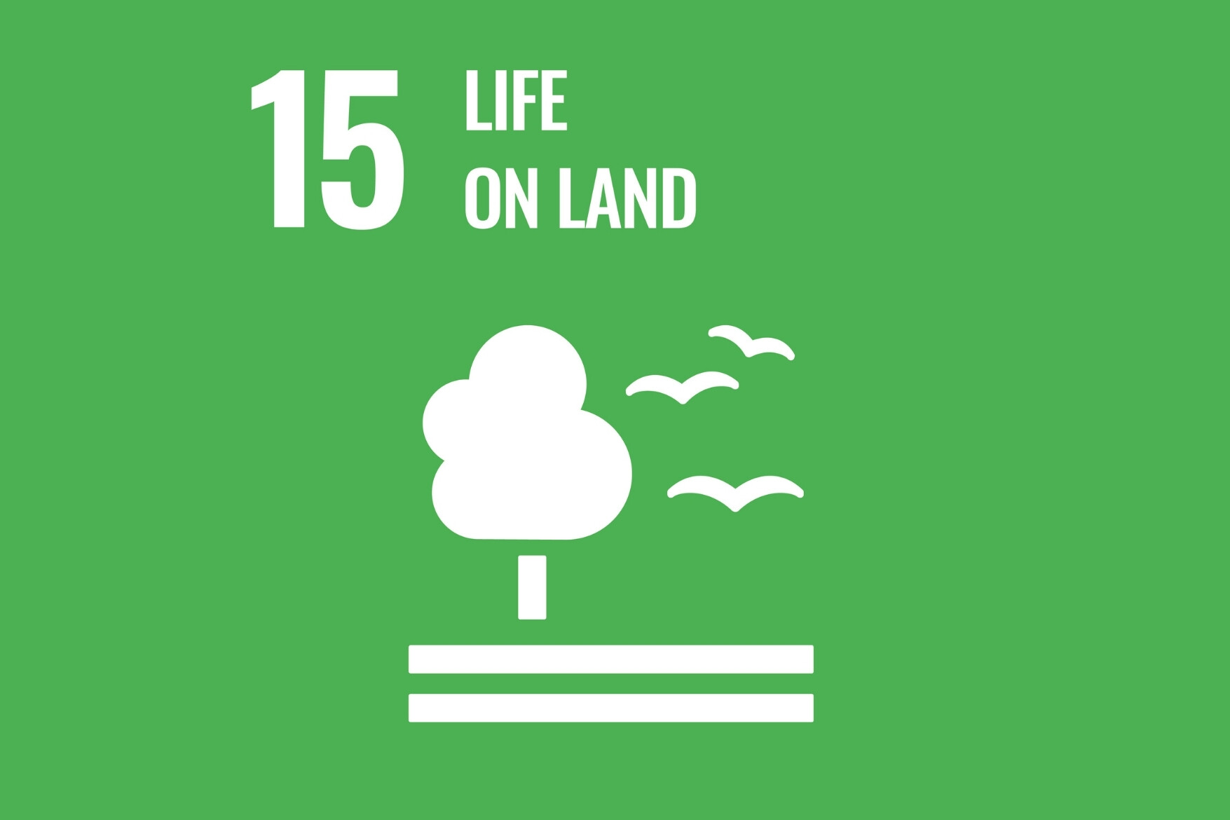 sdg 15 life on land icon