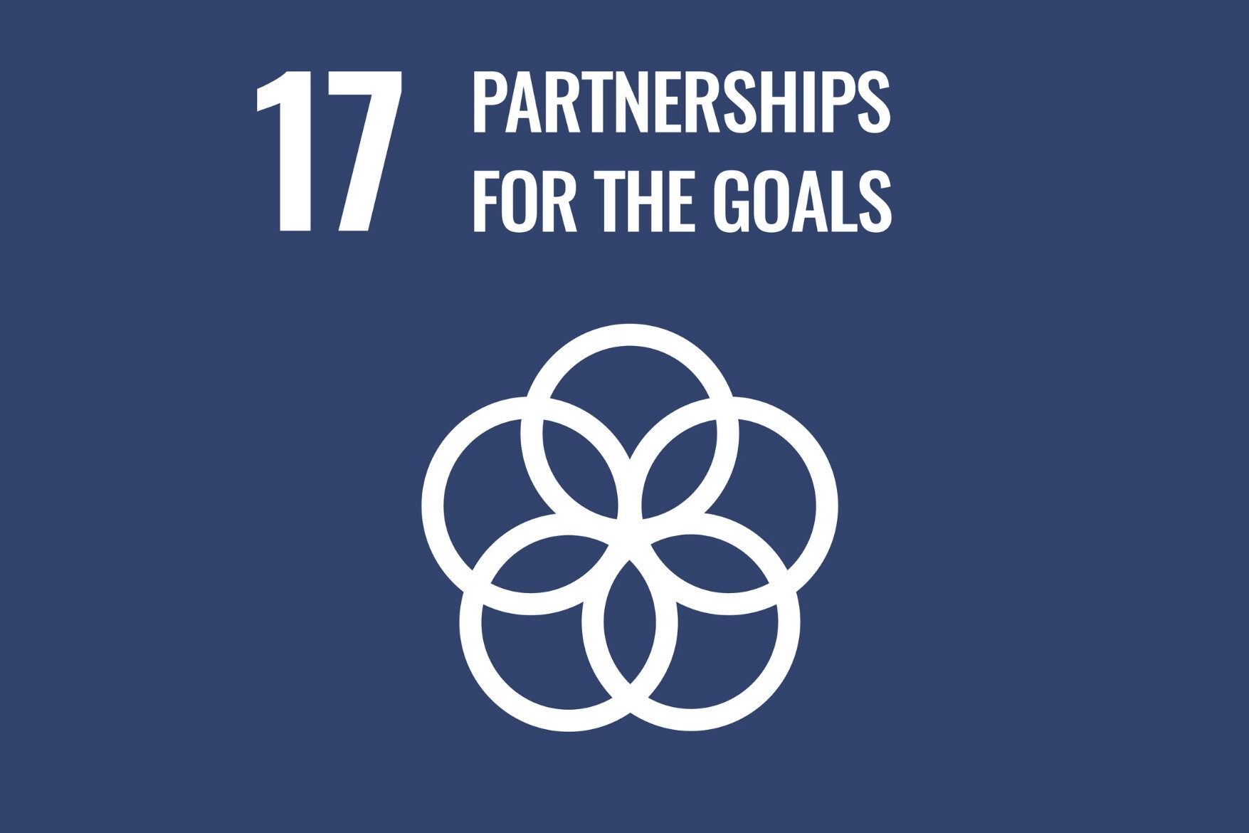sdg 17 partnerships for the goals icon