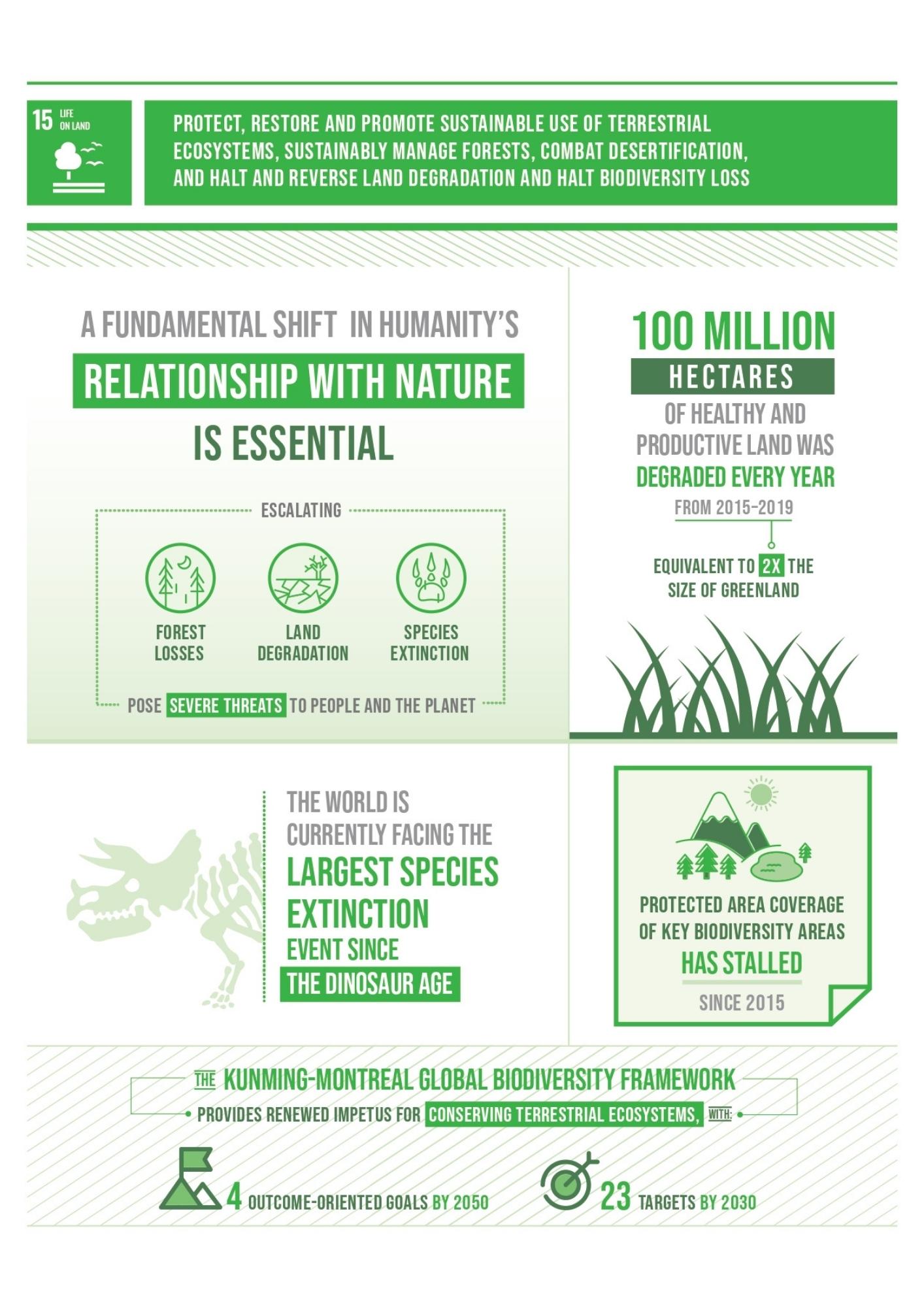 sdg 15 infographic