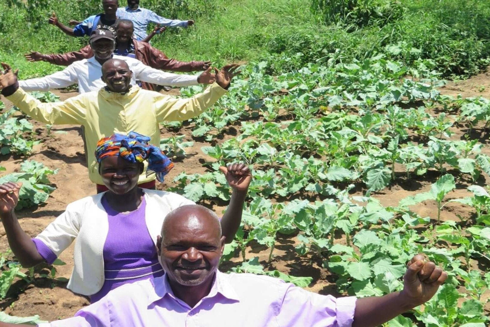 community with crops