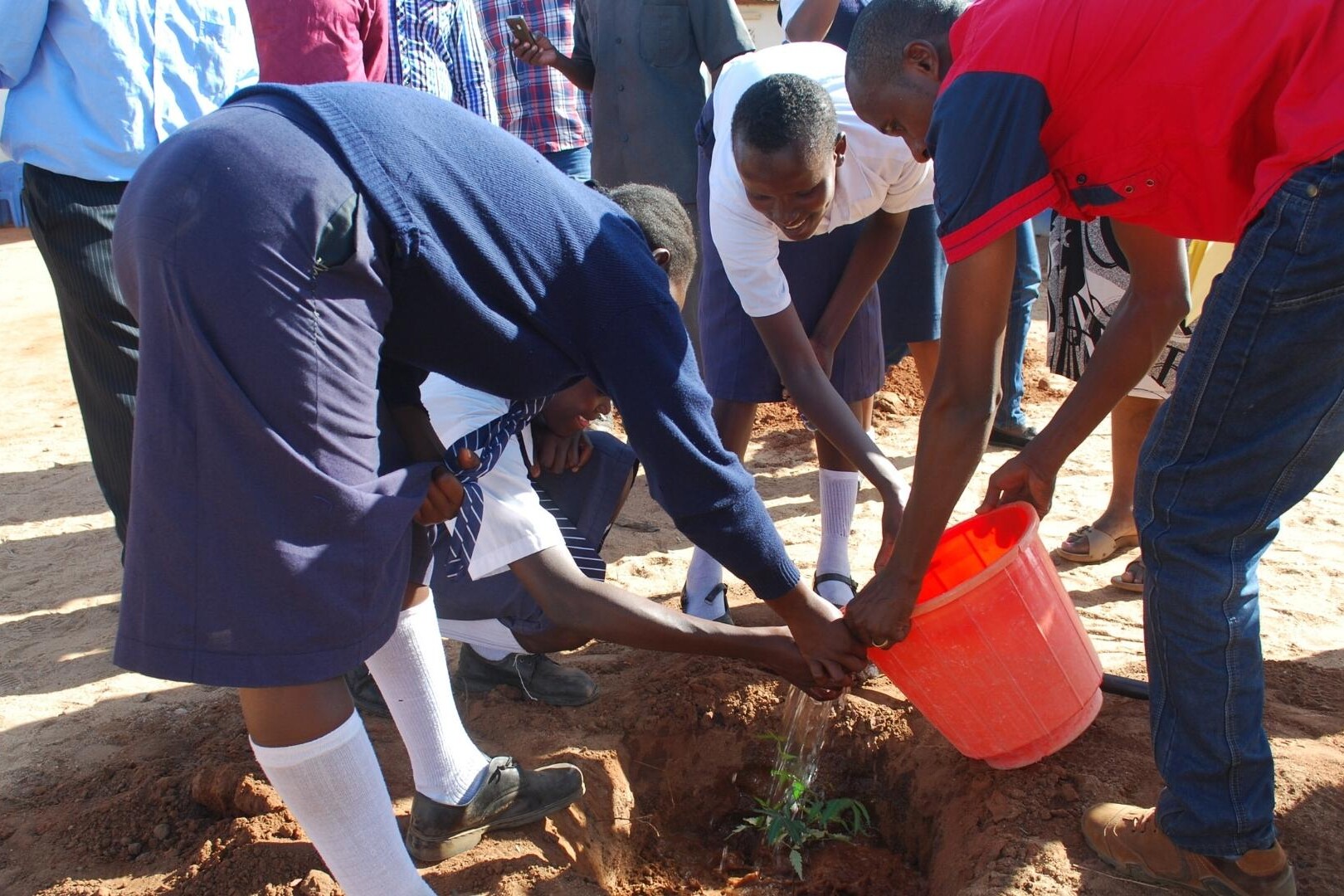 students planting a tree